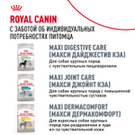 Сухой корм Royal Canin Golden Retriever Adult для взрослых собак породы Голден Ретривер от 15 месяцев 12кг