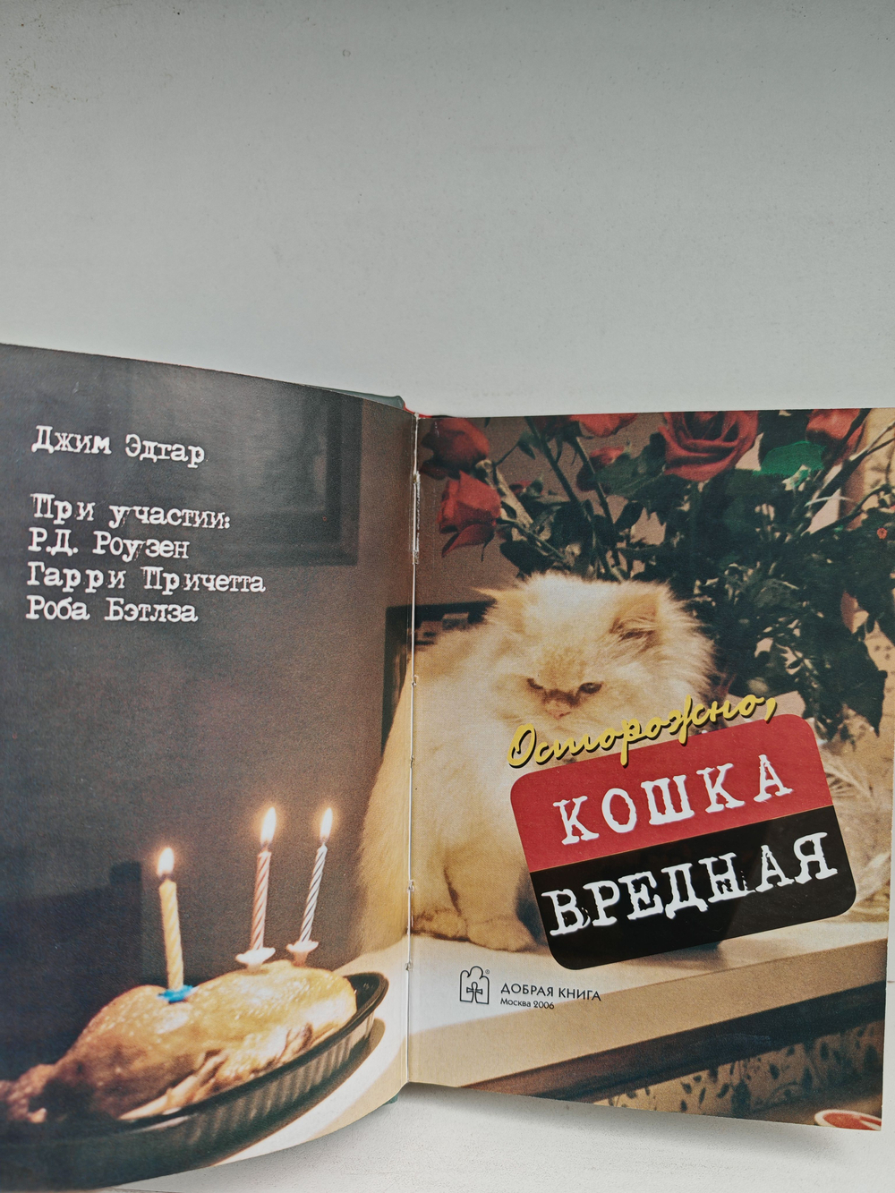 Осторожно, вредная кошка