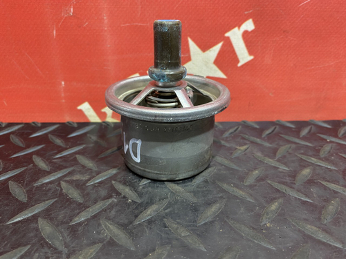 Термостат 2017г