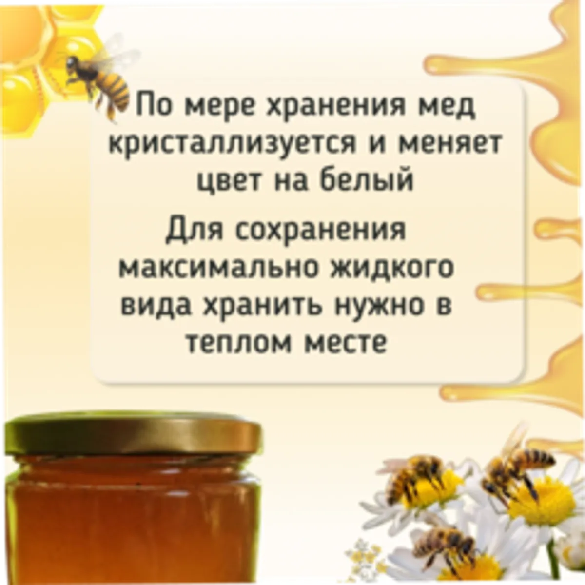 Мед Донниковый / 650 гр