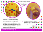 Изучаем время. Набор для группы. (1 большие часы и 24 малых)
