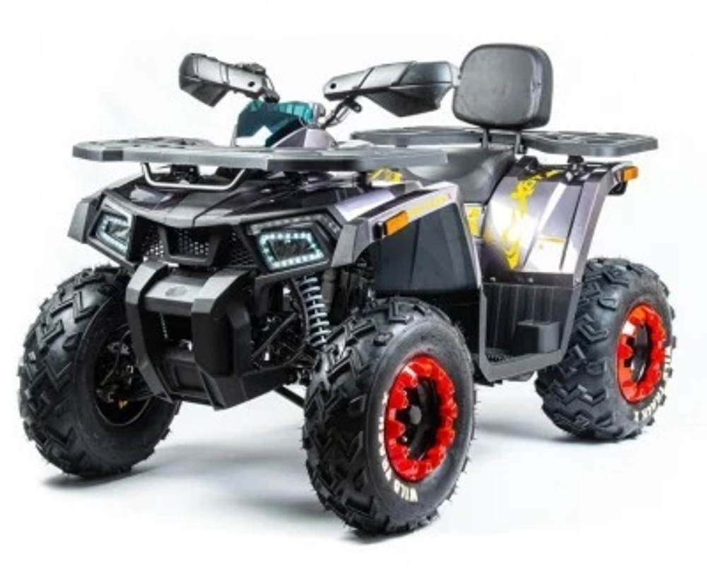 Квадроцикл MOTOLAND 200 WILD TRACK X PRO (2022)