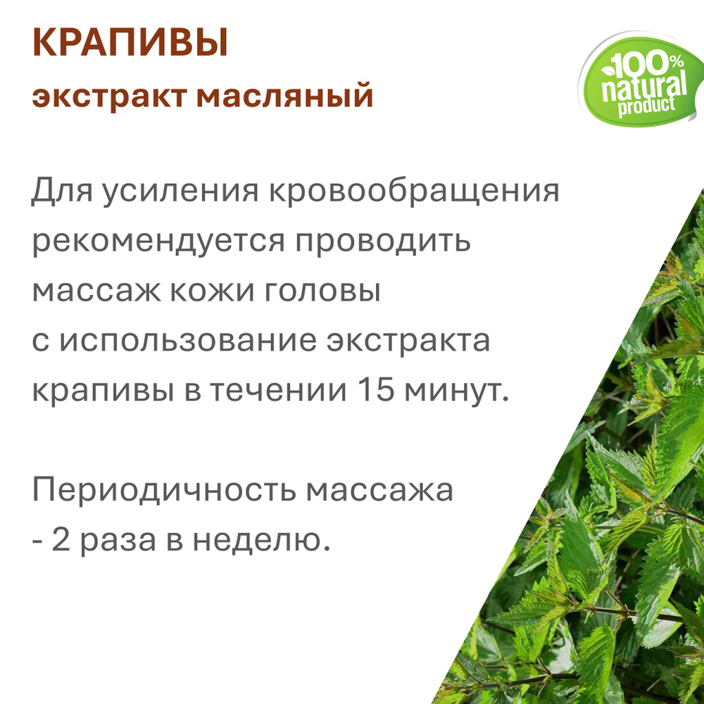Экстракт крапивы, масляный