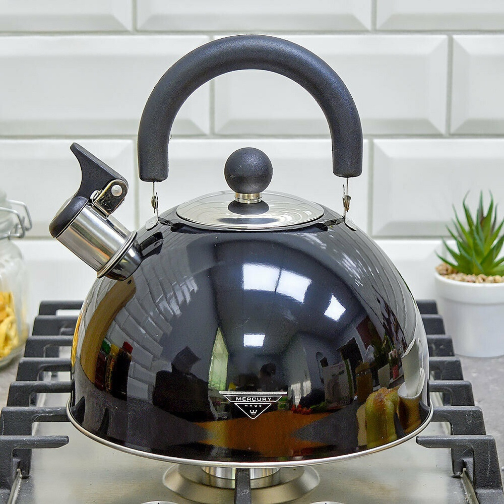 Чайник 3,5л нерж со свистком "MercuryHaus" MC-7815