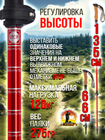 Палки для трекинга, скандинавский ходьбы/ телескопические Carbon pole EVA grip /2 шт, цвет черный