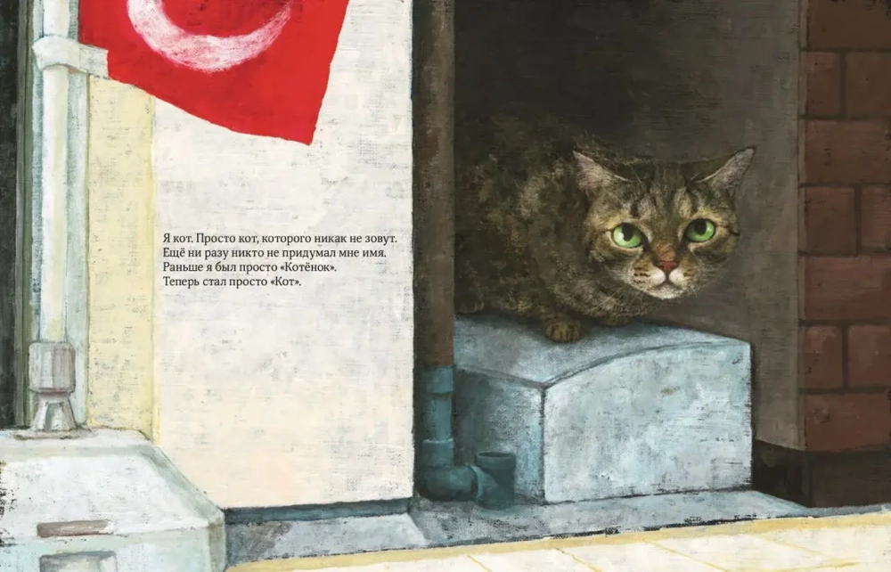 Кот без имени