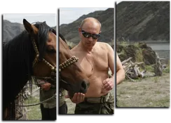 Модульная картина "Владимир Путин"