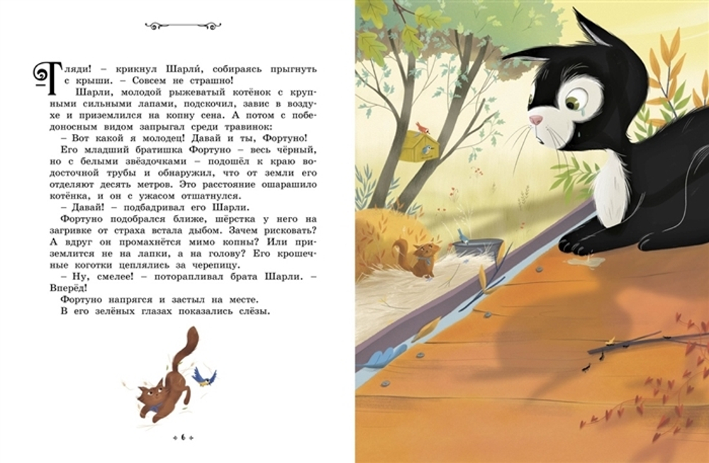 Котёнок, который всего боялся