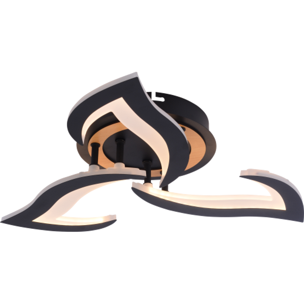 Светильник потолочный светодиодный Rivoli Cassandra 6194-703 LED 3000-6250К 42 Вт с пультом | Rivoli