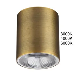 7137/12CL HIGHTECH ODL26 325 светильник бронза/металл IP20 LED 12W 840Лм 3000K/4000K/6000K 36° 220-240V BRIM