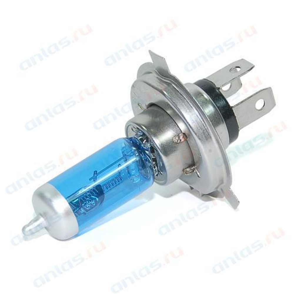 Лампа 24 В H4 100/90 галогенная Вт Р43 Night Light Xenon Vision Диалуч 24104 NL XV