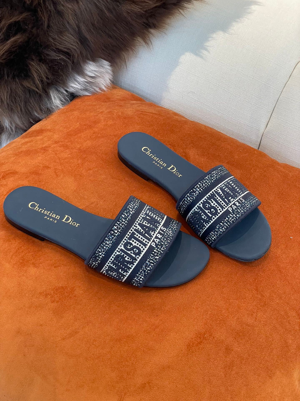 Christian Dior Dway Slide