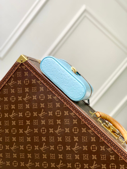 Louis Vuitton Vanity Chain Pouch