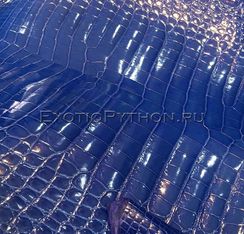 Кожа крокодила SK-43