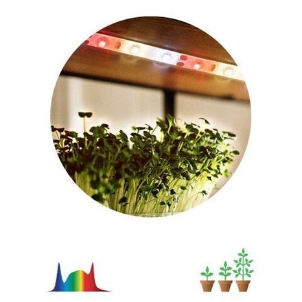 Лента светодиодная FITO-Strip Light-Rа90-3m 3м для растений полноспектральная IP65 Эра Б0059881