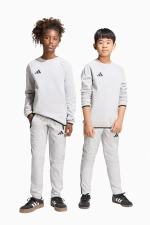 Штаны adidas Tiro Travel Junior - серый