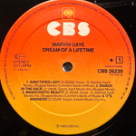 Marvin Gaye - Dream Of A Lifetime (Голландия 1985г.)