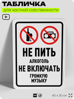 Табличка для частной территории "Не пить алкоголь, не включать громкую музыку", на дом, для участка, организаций и частных территорий, предупреждающая, 40х30 см, Silver Plane x Айдентика Технолоджи