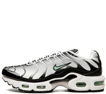 Кроссовки Nike Air Max Plus Silver