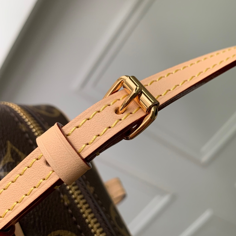 Louis Vuitton Hang On