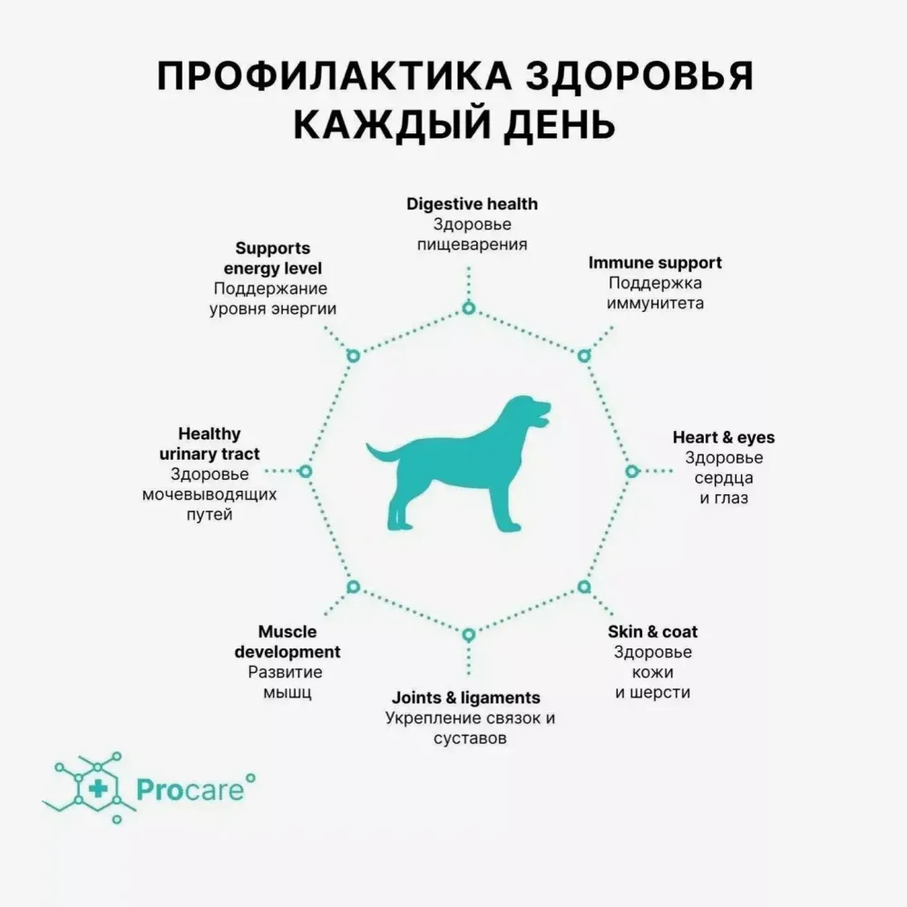 Сухой корм Grandorf DOG Turkey MINI для взрослых собак мелких пород, индейка