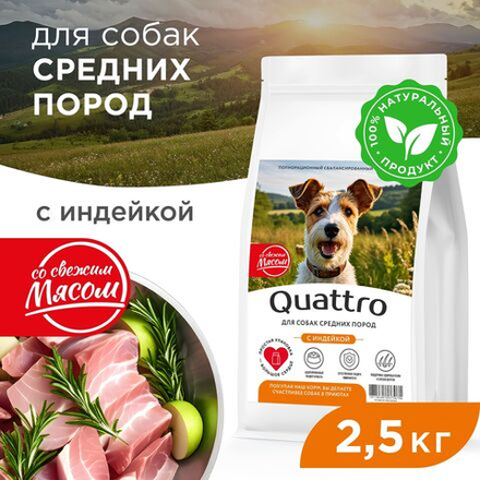 Корм сухой для взрослых собак средних пород, премиум полнорационный сбалансированный, с индейкой, 2,5 кг, QUATTRO