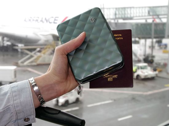 Портмоне для документов Quilted Passport Платина