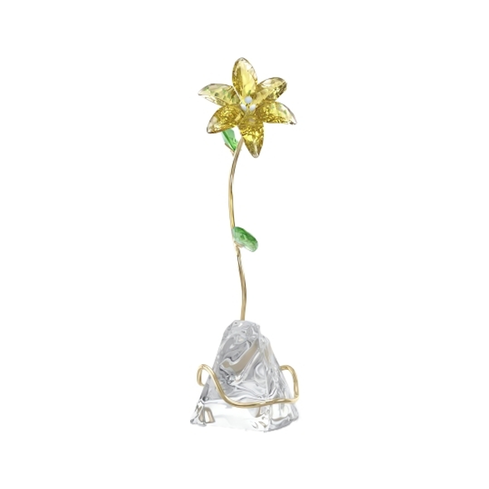 FLORERE:LILY