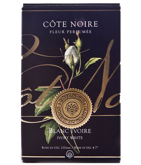 Ароматизированная роза слоновая кость в черной вазе, Cote Noire