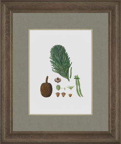 Картина 1653 (X)