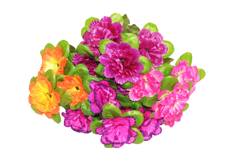 Букет гвоздик в подрозетнике