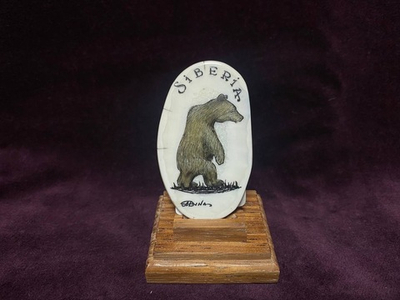 Экран бурый, клык моржа