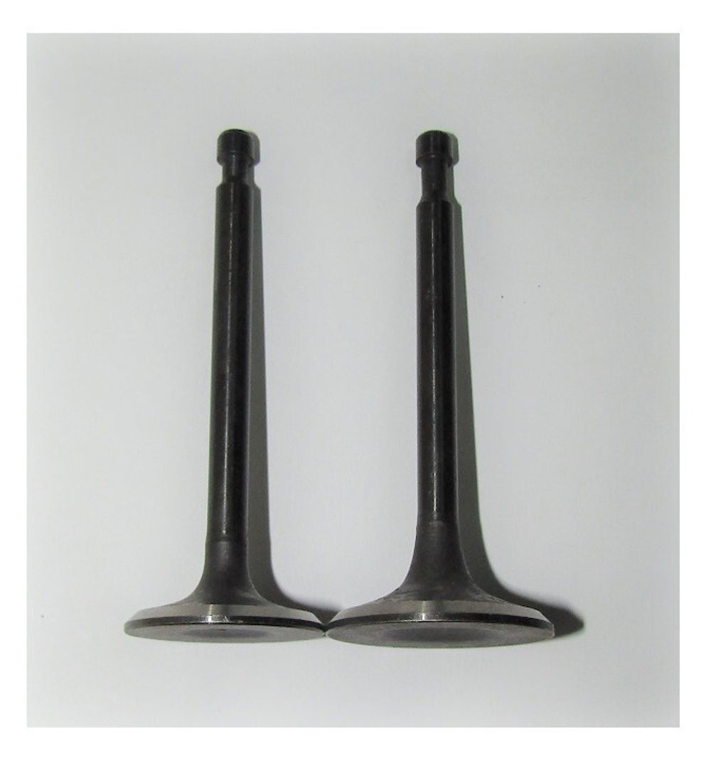 Клапан впускной/выпуской (комплект,2 шт )GX390/Valve kit