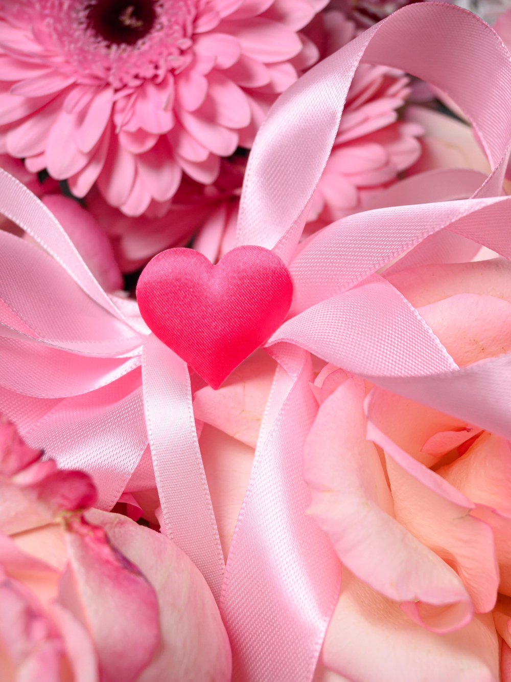 Лепестки любви