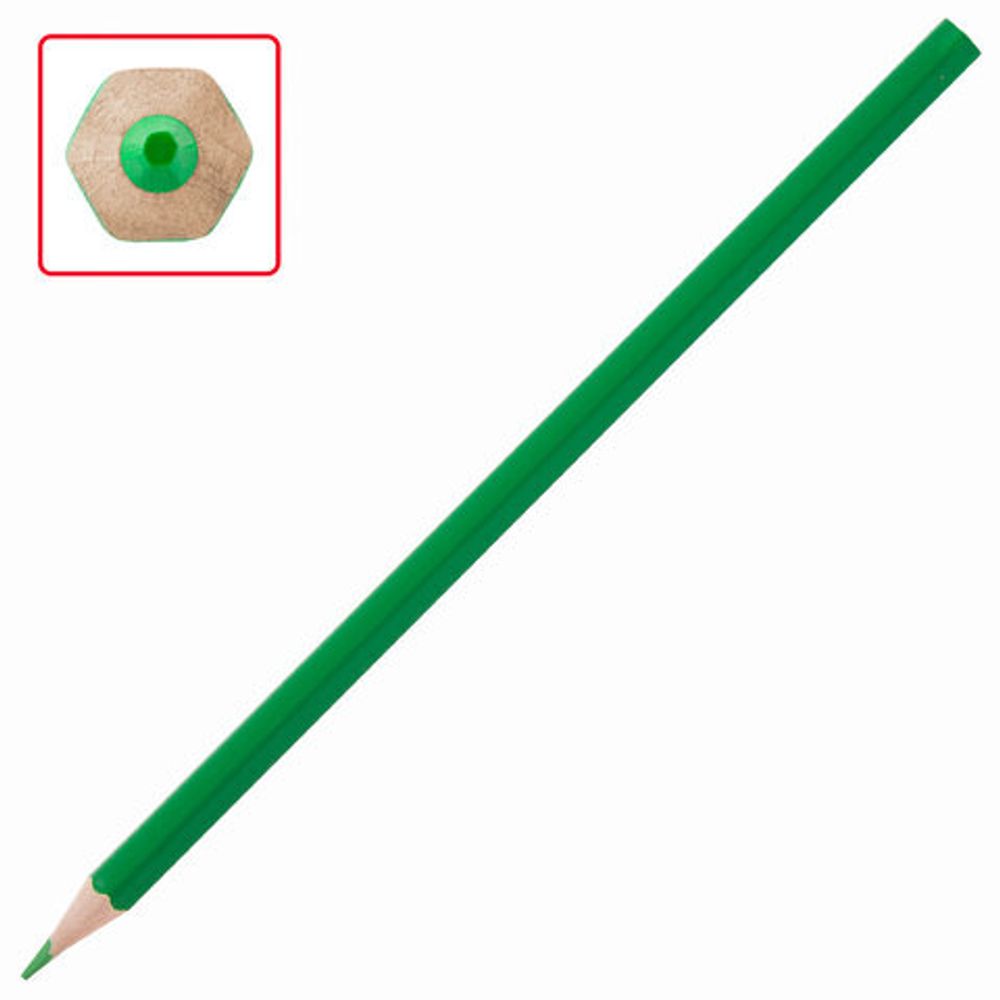 Карандаши цветные ПИФАГОР "Веселая такса", 36 цветов, классические, заточенные, 181809