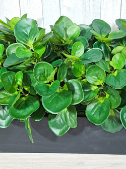 Пеперомия искусственная 100см в черном длинном кашпо