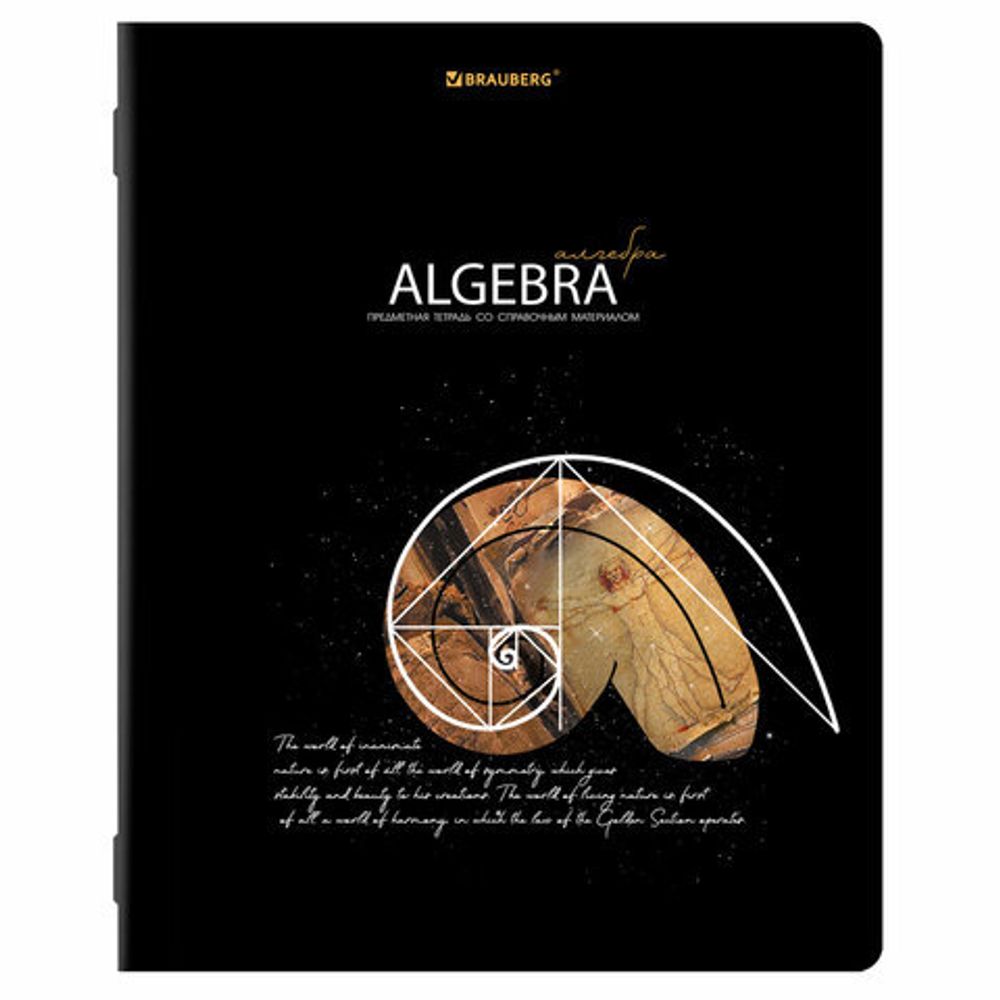 Тетради предметные, КОМПЛЕКТ 12 ПРЕДМЕТОВ, "STARLIGHT", 48 л., глянцевый УФ-лак, BRAUBERG, 404607