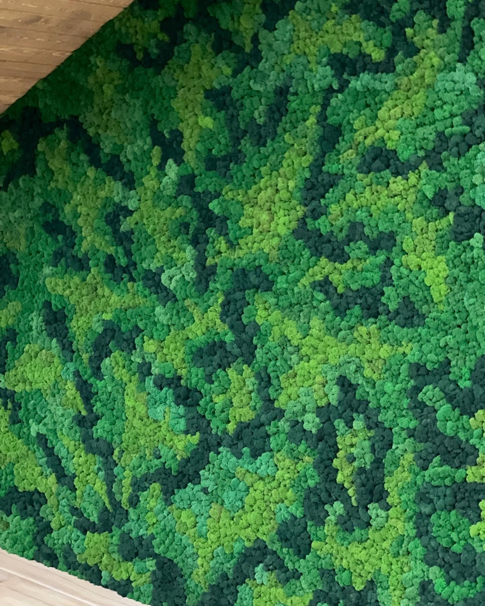 21.12. Зеленая стена из стабилизированного мха ягеля.