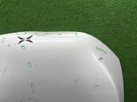 Капот Xpeng P5 (2021-н.в.)