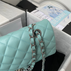 Chane1 Classic Flap Bag 25 cm