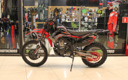 Кроссовый мотоцикл FXmoto Raptor (NC300) 21/18
