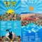 Manu Chao - Viva Tu LP