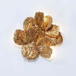 Wall lamp  PATHLEAF by Serip