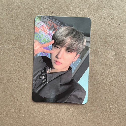 ОФ КАРТА / STRAY KIDS / ODDINARY / Чанбин [dtc]