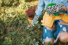 Как организовать работу в саду: грамотная планировка и выбор техники