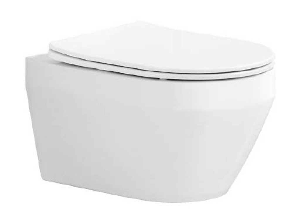 Set AQUATEK ЛЕЯ (рама AQUATEK Standard INS-0000012 с звукоиз.прокладкой+крепеж KKI-0000002+кнопкаKDI-0000010+унитаз ЛЕЯ AQ1199-00 с крышкой-сиденьем soft-close)