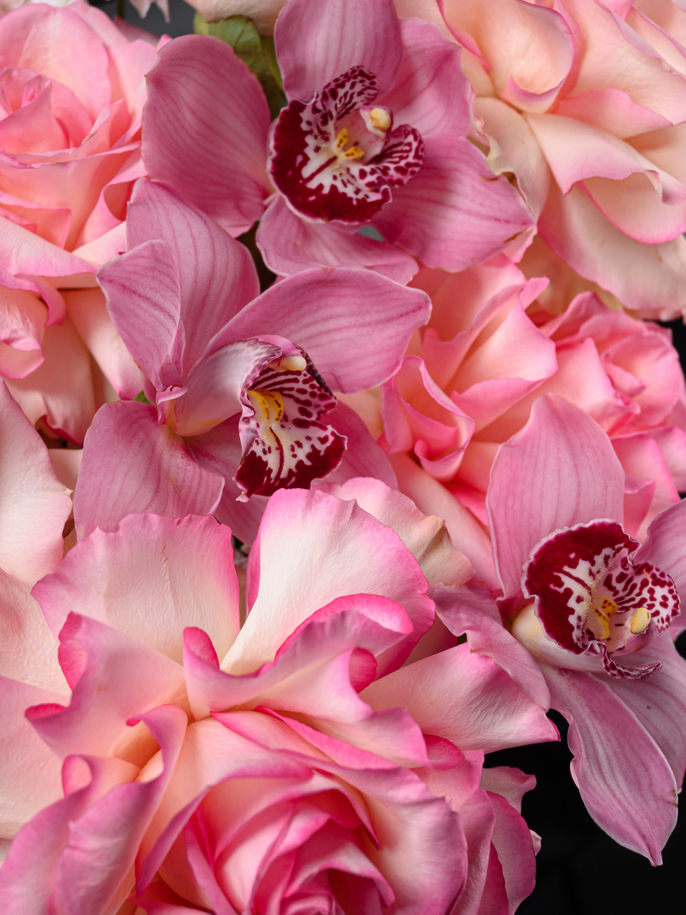 Лепестки любви