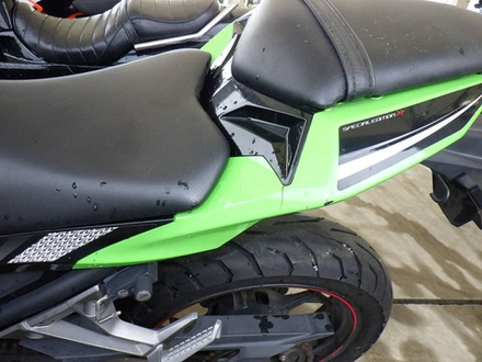 Kawasaki Ninja 250 2014