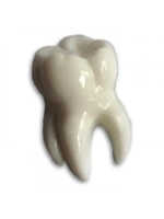 Форма пластиковая Зубик