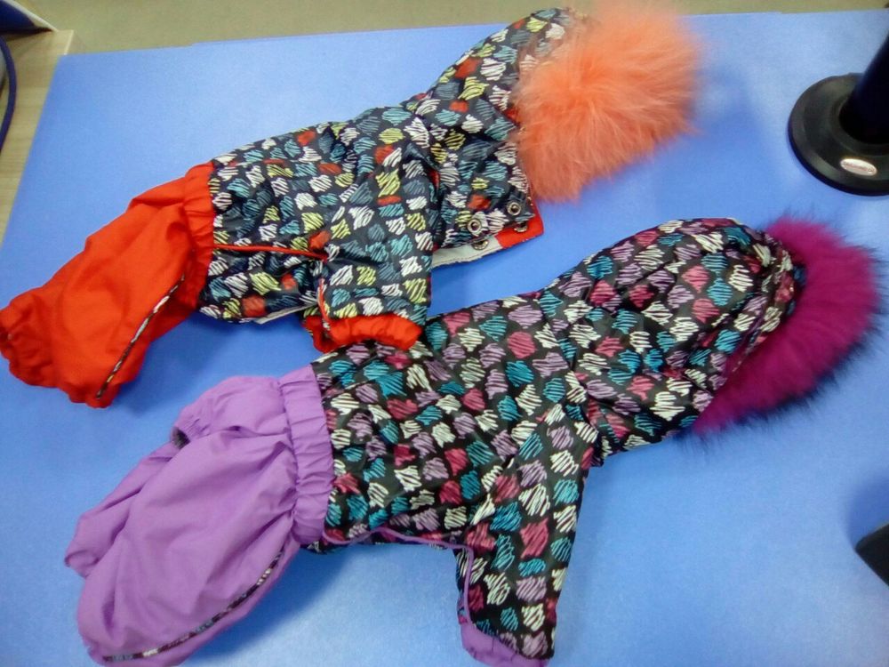 Комбинезон для собак "АРКТИКА" для мальчика, размер S 3-0-01/ S Комбинезон для собак "АРКТИКА" для мальчика, размер S 3-0-01/ S